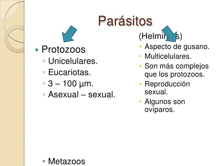 El tanaceto contra los parásitos las revocaciones