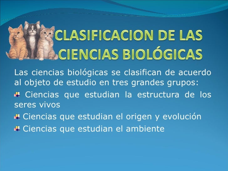 FINAL DE LAS CIENCIAS final de las ciencias: