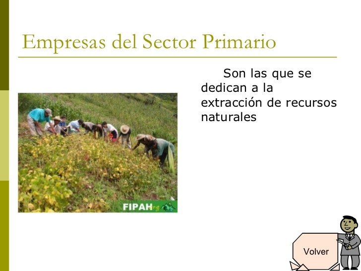 Clasificacion de las empresas Clasificacion de las empresas