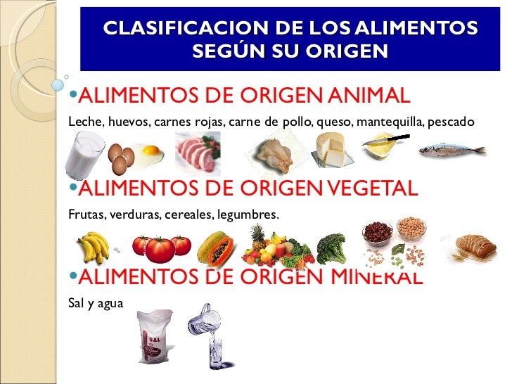 Lamina de alimentos de origen animal - Imagui Lamina de alimentos de origen animal - Imagui