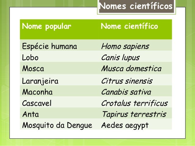 Classificação dos seres vivos_CEEP