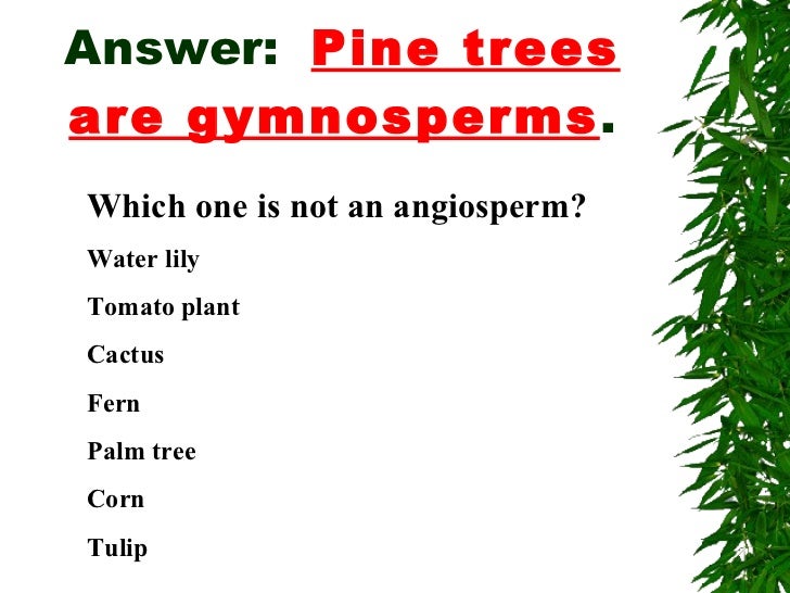 Classification including plants