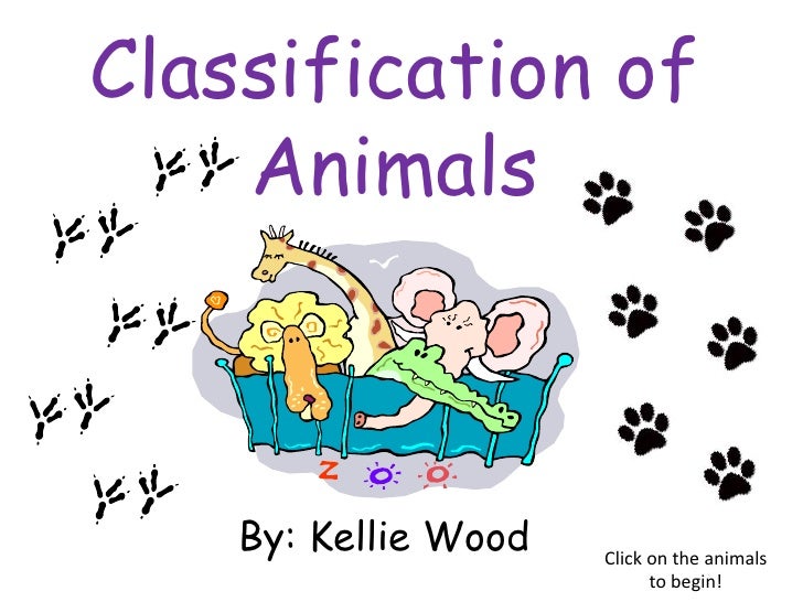 kingdom  Classification pdf worksheets Animals animal Of