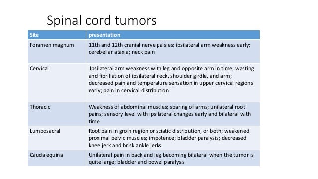Length of remedy for cervical most cancers uterine most cancers vegan