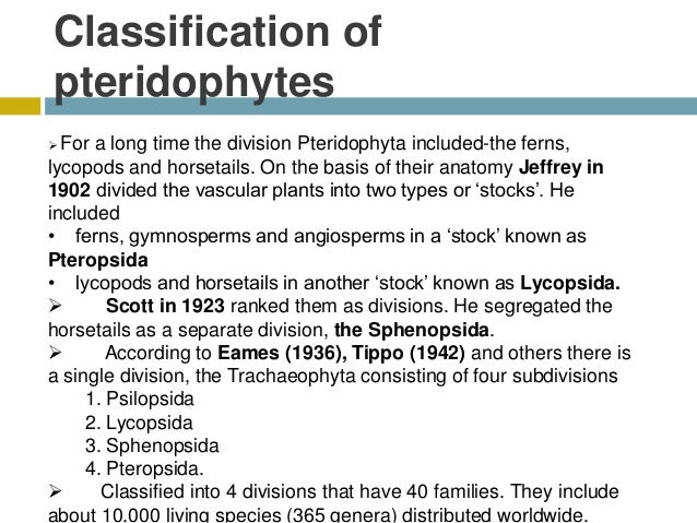writing division classification essay Division and classification essay: classify and describe sports current essay topics guide is an attempt to mark out the typical topics requested by our customers. writing division classification essay Division and classification essay: classify and describe sports current essay topics guide is an attempt to mark out the typical topics requested by our customers.