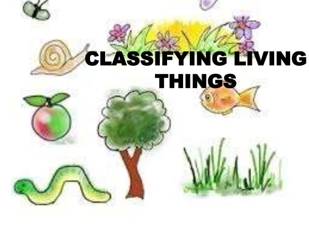 CLASSIFYING LIVING
THINGS
 
