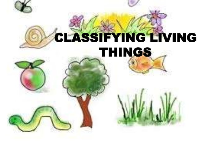 CLASSIFYING LIVING
THINGS