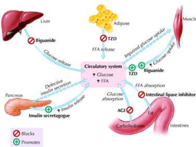 Metaglip glipizidemetformin generic) side effects, and 