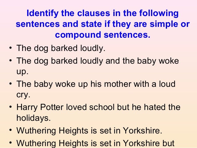 essay about your pet dog essay about your pet dog