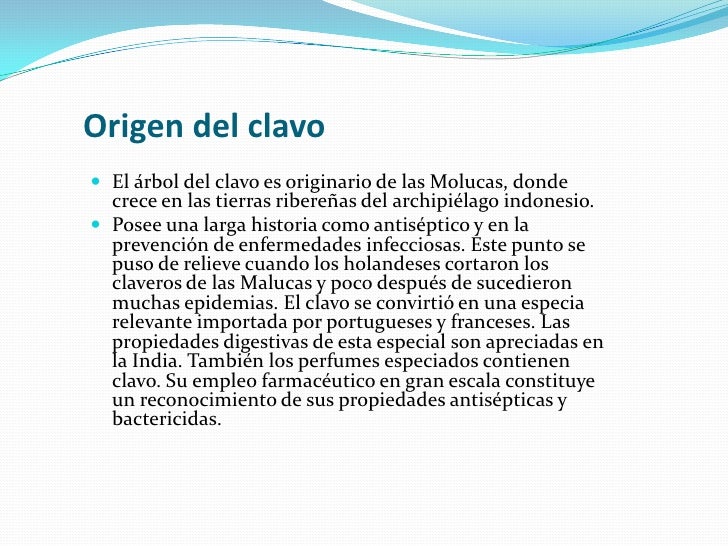 coches wey tesla auto inventore