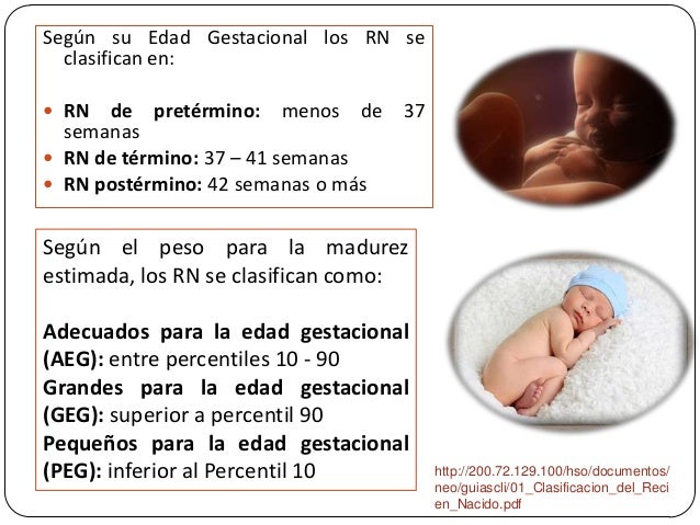 Cálculo de la edad gestacional según ballard y capurro