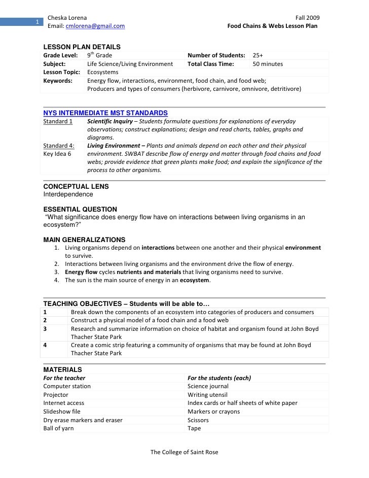 Critical thinking lesson plan template