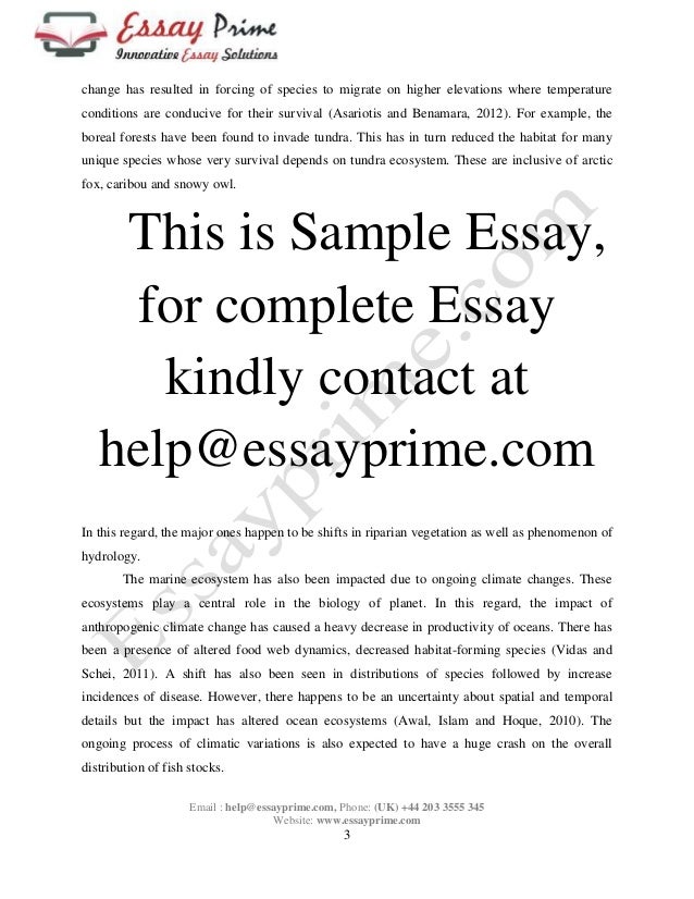 Steps of writing an essay pdf