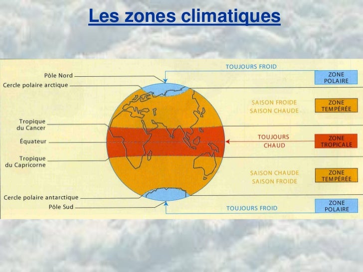 Le most cancers Dans Le Monde