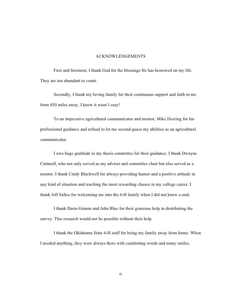 illegal immigration essays
