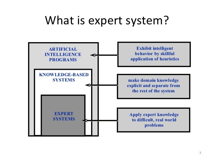 expert system