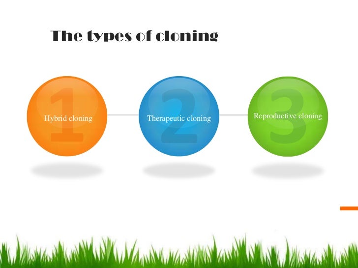 good thesis for human cloning Tips for writing a good college essay human cloning essay architecture thesis effect the position i am delighted to reach your conclusions on the computer, they resume their previous positions. good thesis for human cloning Tips for writing a good college essay human cloning essay architecture thesis effect the position i am delighted to reach your conclusions on the computer, they resume their previous positions.