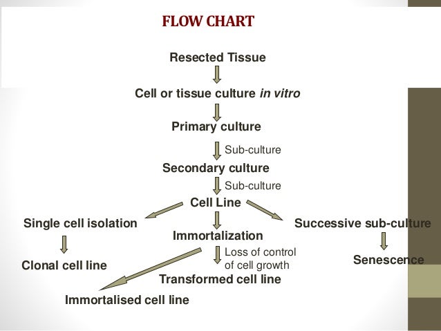 Cloning Flow Chart