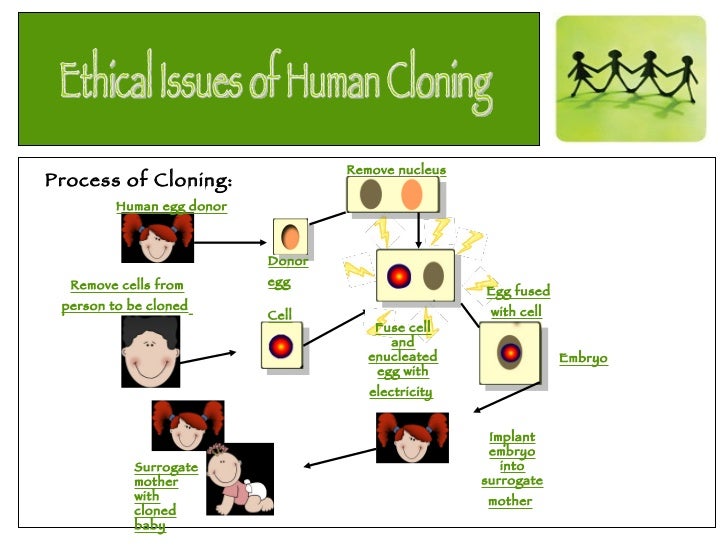 Human Cloning Essays