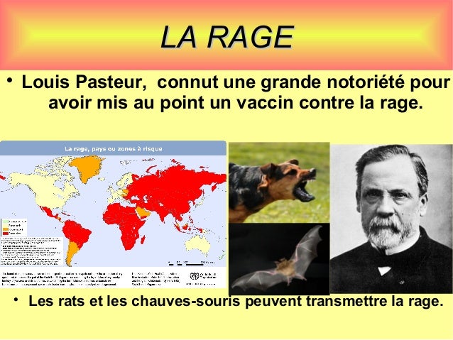 Que boire des helminthes lensemble