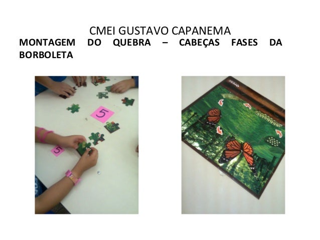 gustavo horta jardim:Cmei gustavo capanema pesc gustavo horta jardim:Cmei gustavo capanema pesc