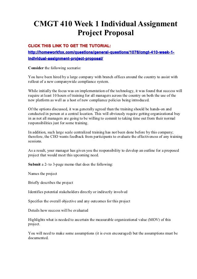 Cmgt 410 essay 06 picture