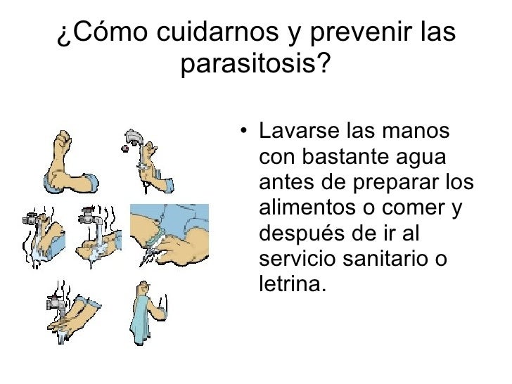 Usted se ve los huevos de las lombrices