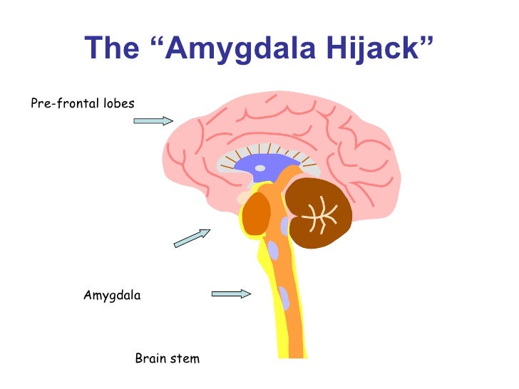 keep smiling the amygdala
