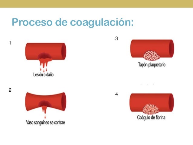 coagulacion sanguinea a christmas ii
