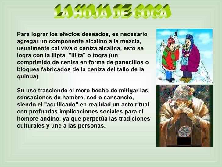La hoja de coca
