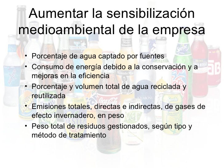 Control de Gestión sobre Coca cola