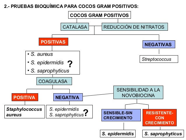 Cocosgrampos