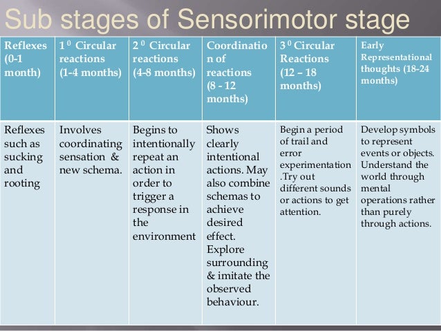 piagets sensorimotor stage Learn about the stages and developmental milestones in piaget's theory of cognitive development. piagets sensorimotor stage Learn about the stages and developmental milestones in piaget's theory of cognitive development.