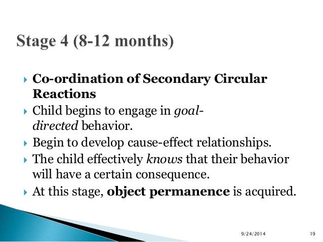 piaget tertiary circular reactions
