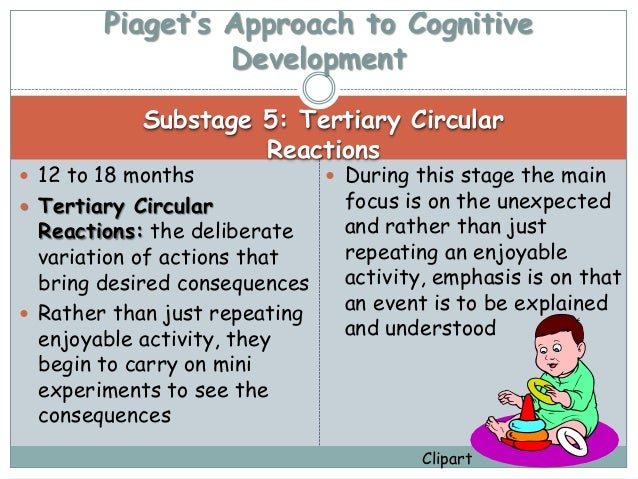 piaget tertiary circular reactions