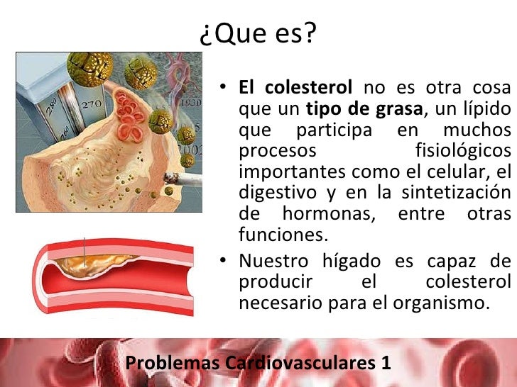 Colesterol y triglicéridos