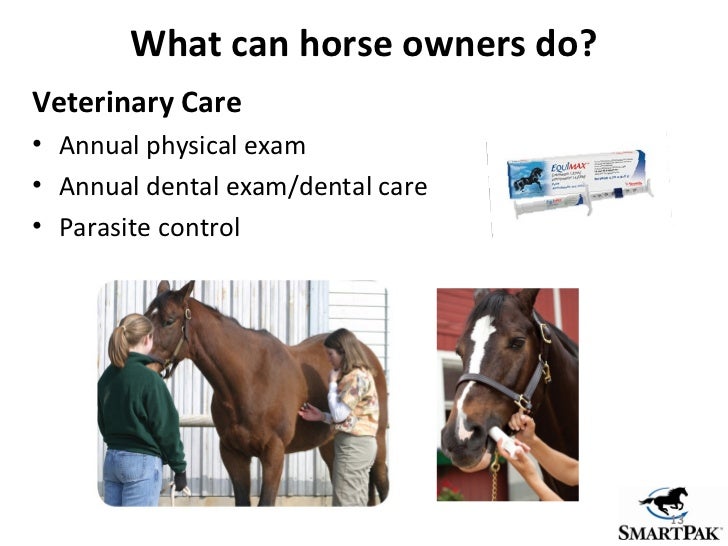 Colic Prevention Proven tips to help reduce your horse's risk