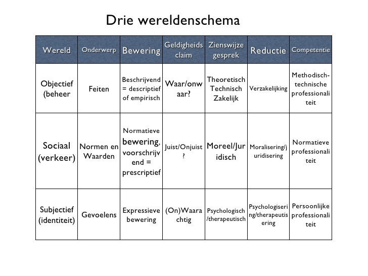 3 Werelden Model Social Work