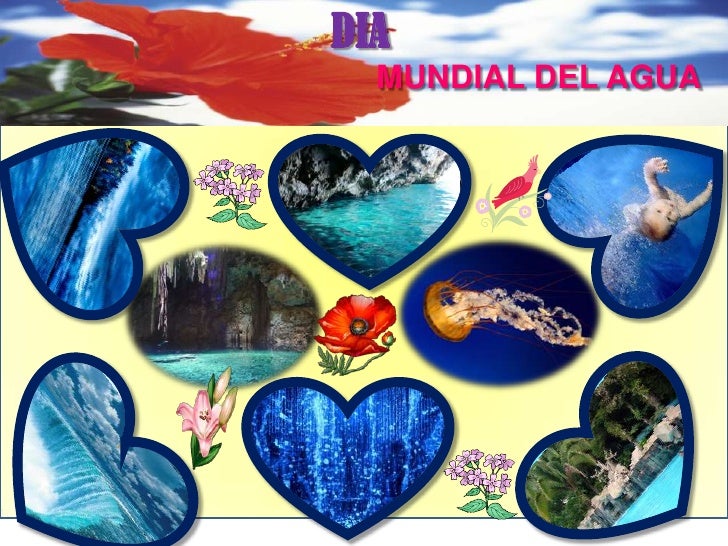 Collage Dia Mundial Del Agua