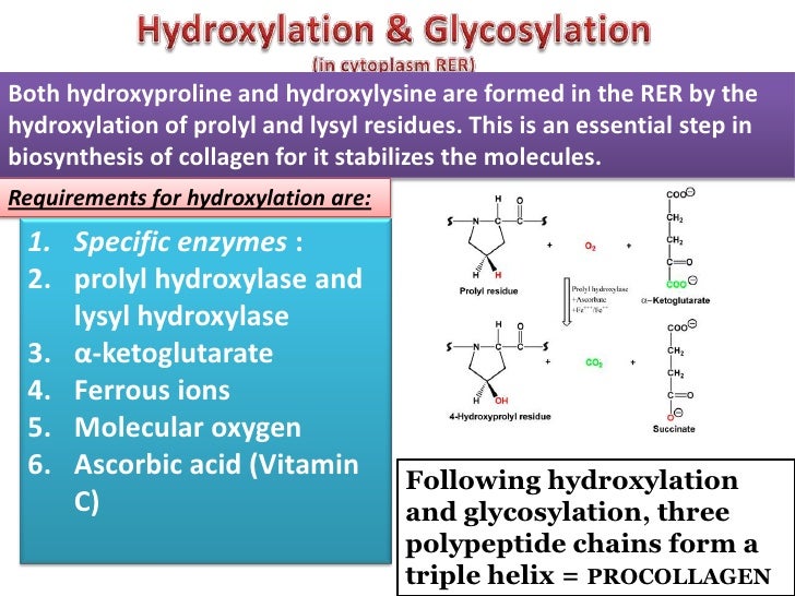 COLLAGEN Structure , Distribution , Synthesis & Regulation