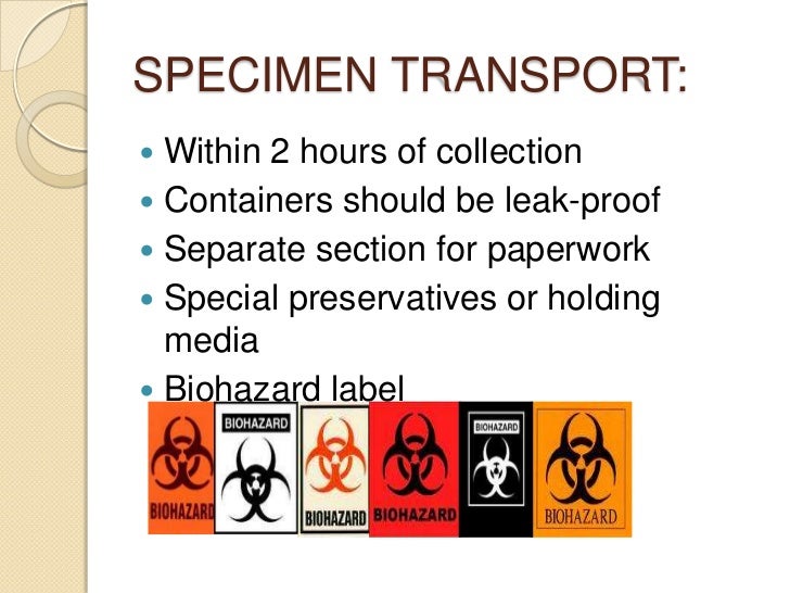 Collection and transport