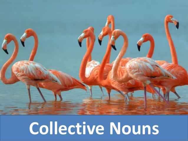 Provide Noun