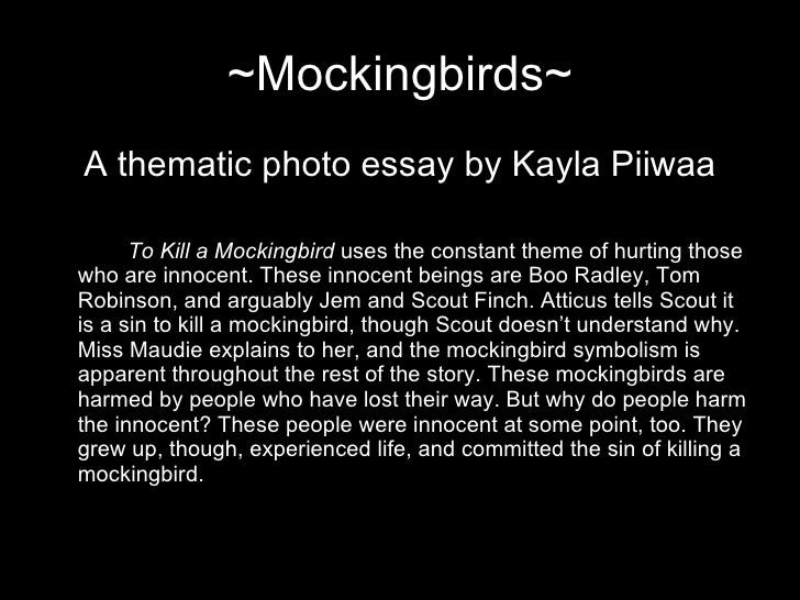 To kill a mockingbird expository essay prompts