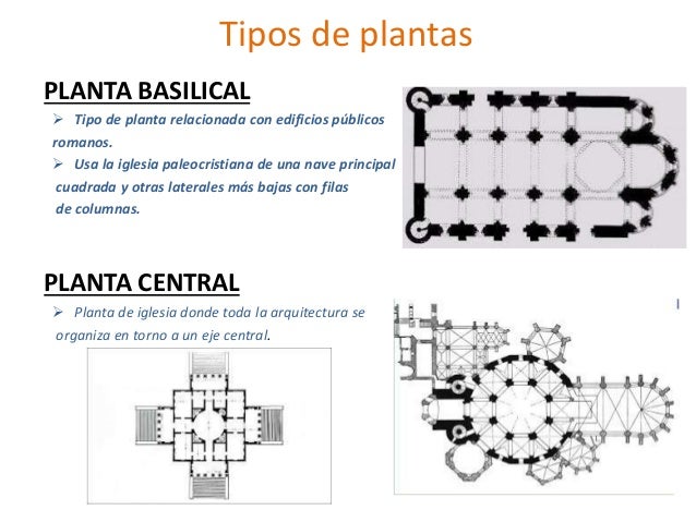 tipos de plantas planta basilical tipo de planta relacionada con tipos de plantas planta basilical tipo de planta relacionada con