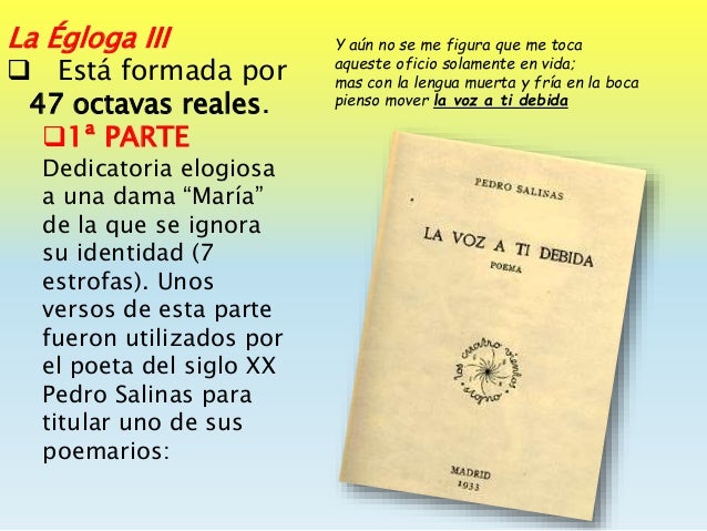 Comentario tres octavas reales de la égloga iii de garcilaso