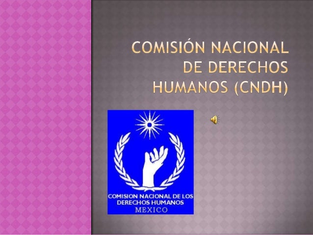 Comisión nacional de derechos humanos (cndh)
