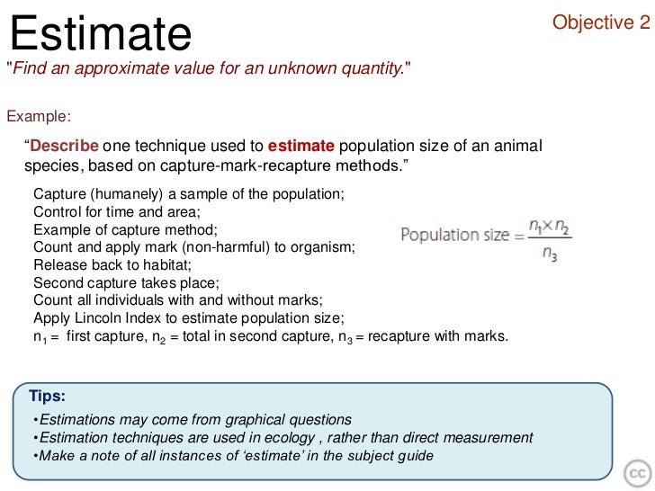 estimate terms