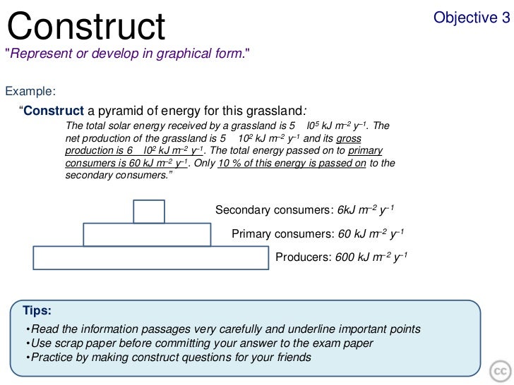 construct biology essay construct biology essay