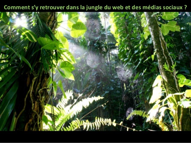 comment retrouver une image sur le web
