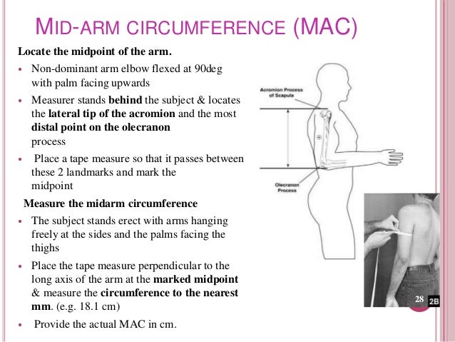 Mid Upper Arm Circumference Chart Adults